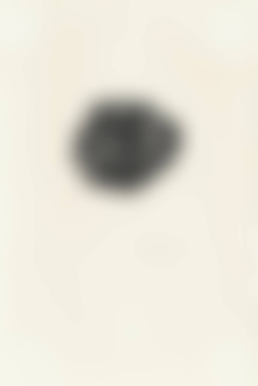 One Plate, from 'Aischylos: Die Perser' (preview)