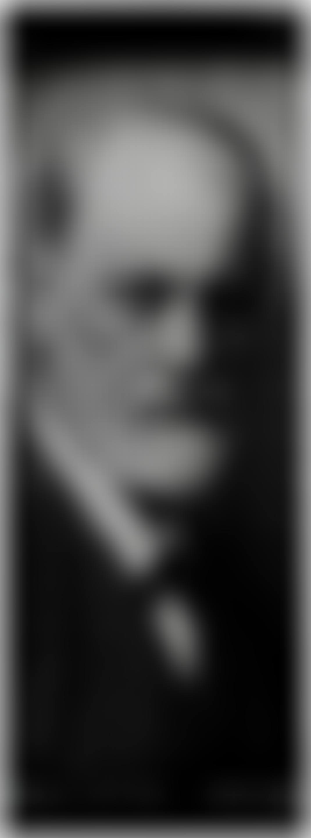 Banner 50, from 'Portrait Banners' (preview)