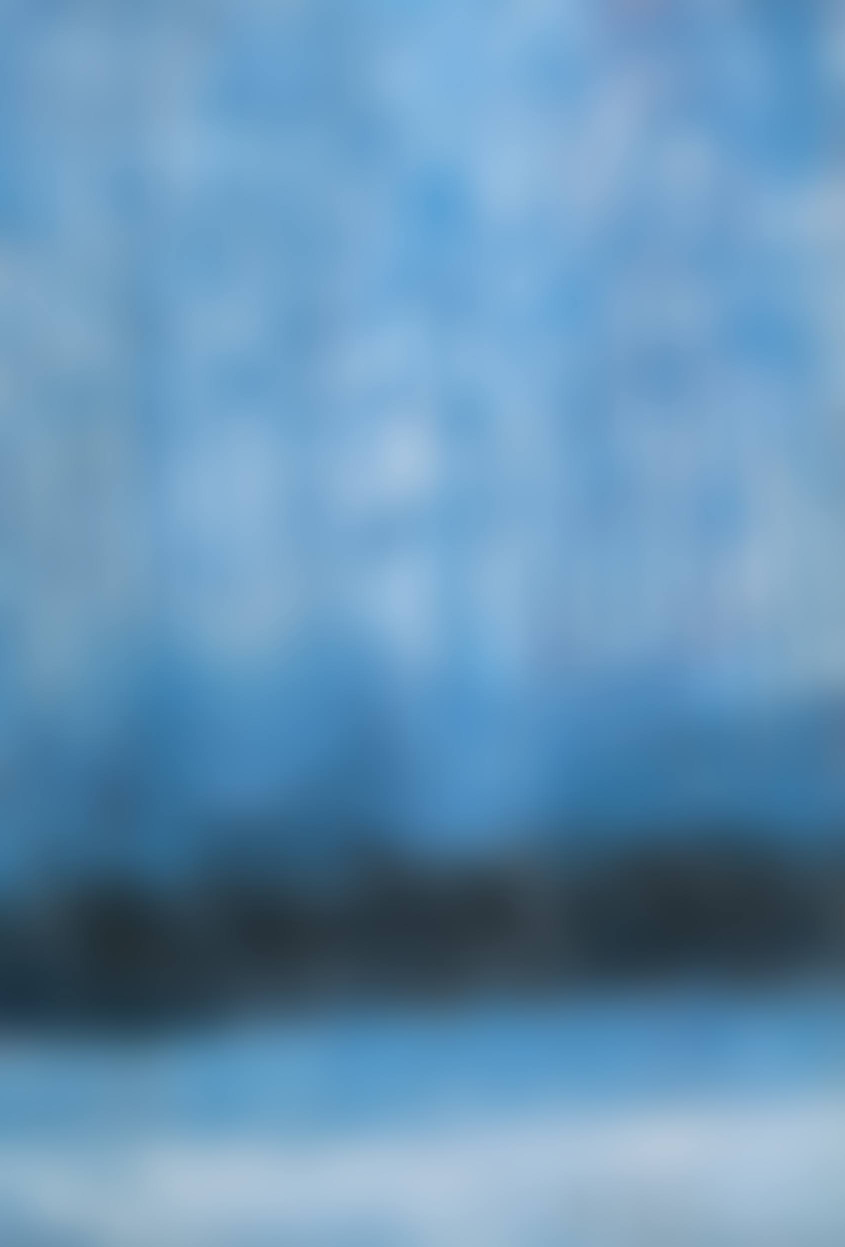 Le bois bleu (preview)