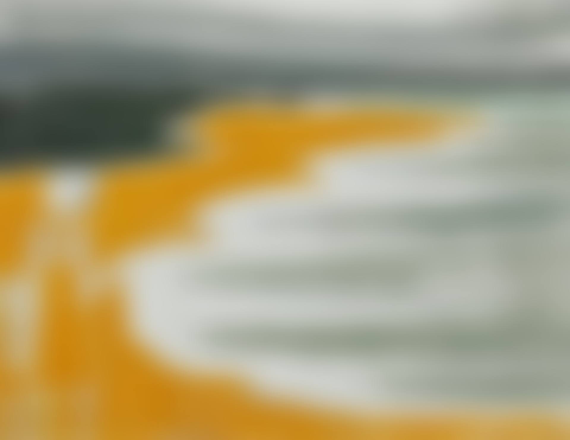 Promenade sur le rivage (preview)
