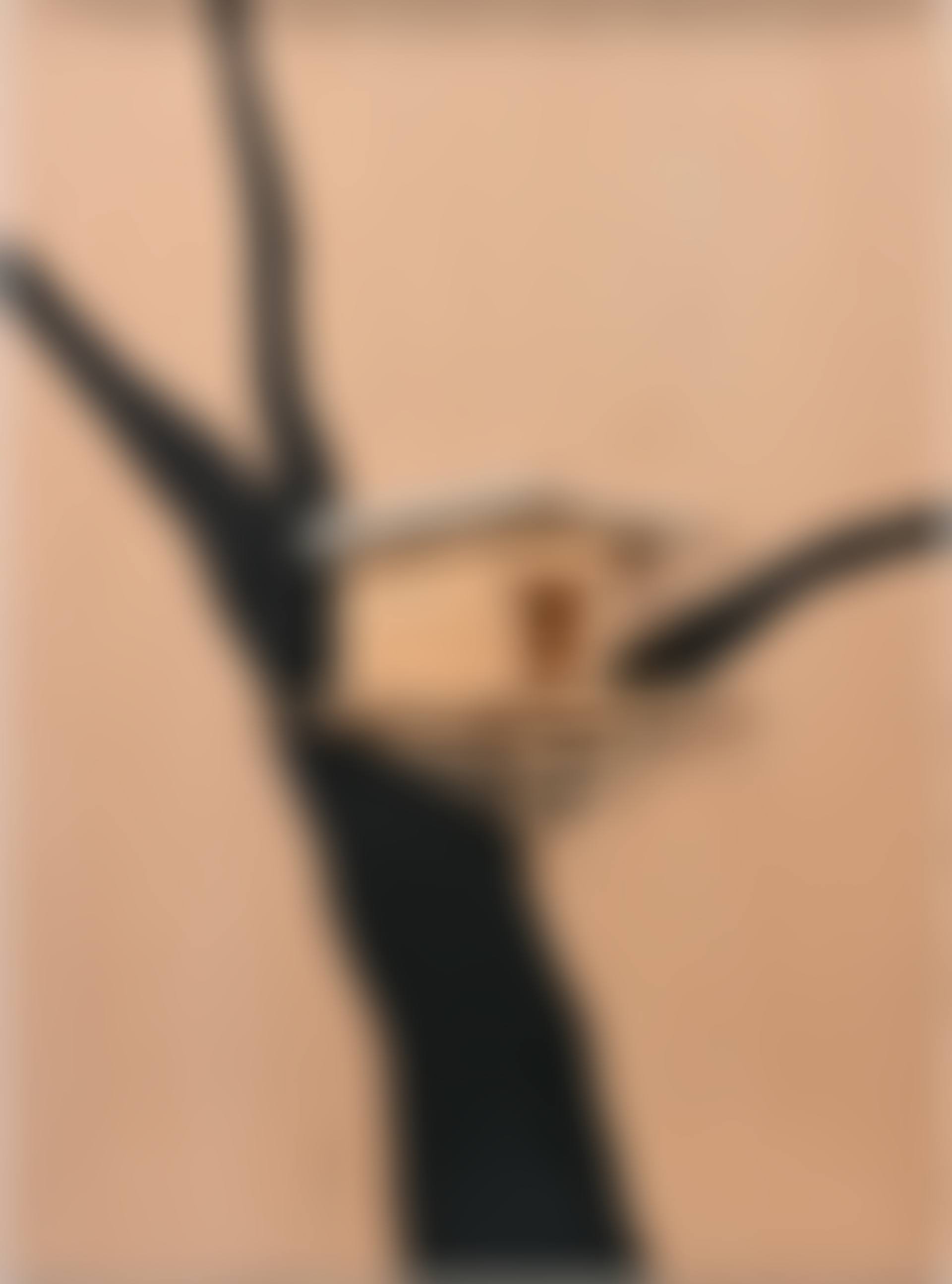 TREEHUT PLAN A-23 (preview)