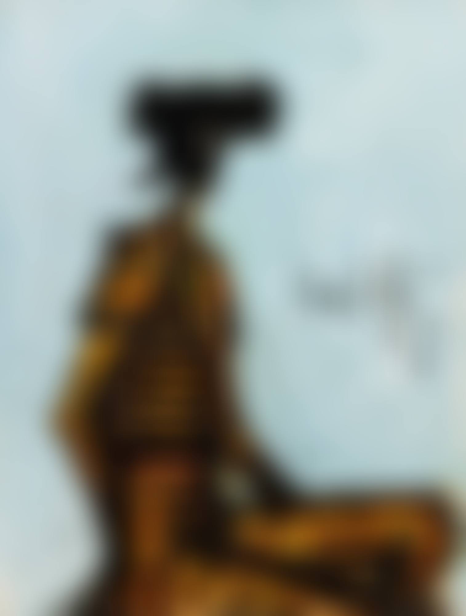Torero assis (preview)
