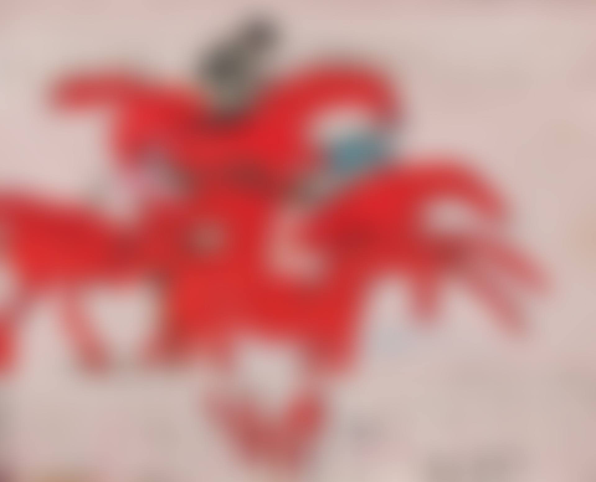 Les chevaux rouges (preview)