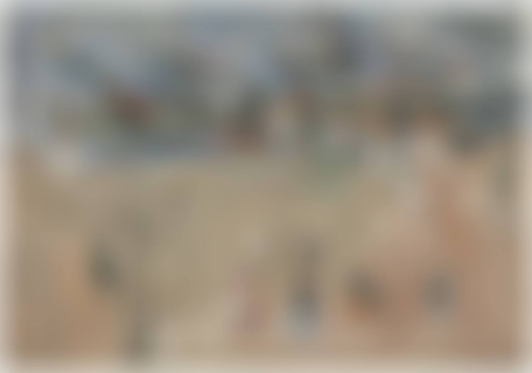 Gray Day, Venice (preview)