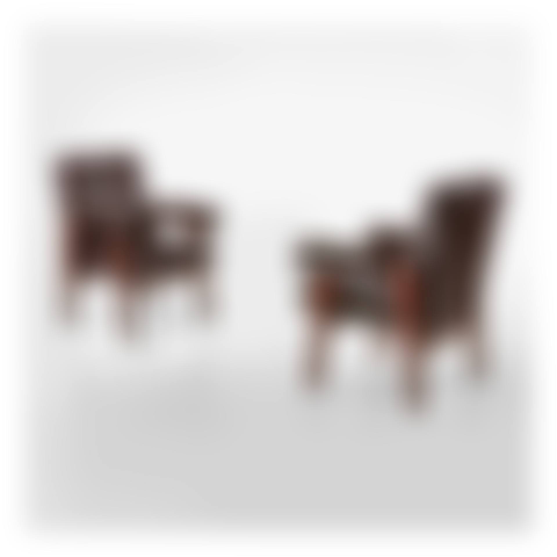 Pair of "Advocate" Armchairs for the High Court, Chandigarh, India (preview)