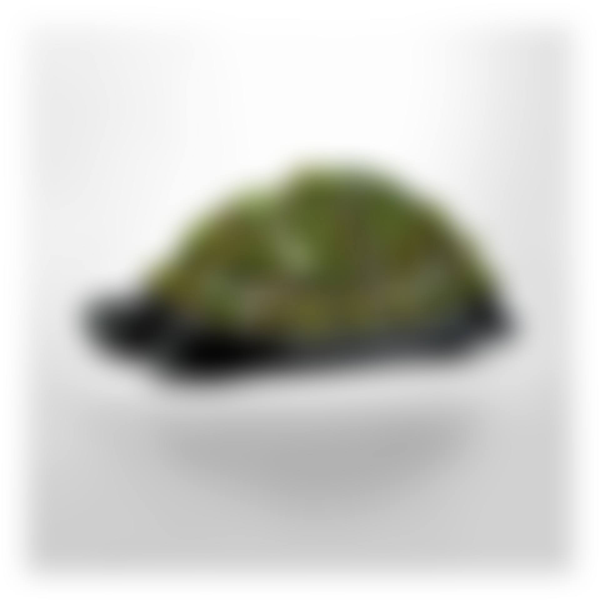Tortue Topiaire III (preview)