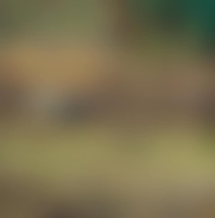 Hometown (preview)