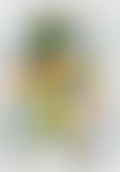 Untitled (Colour man 01) (preview)