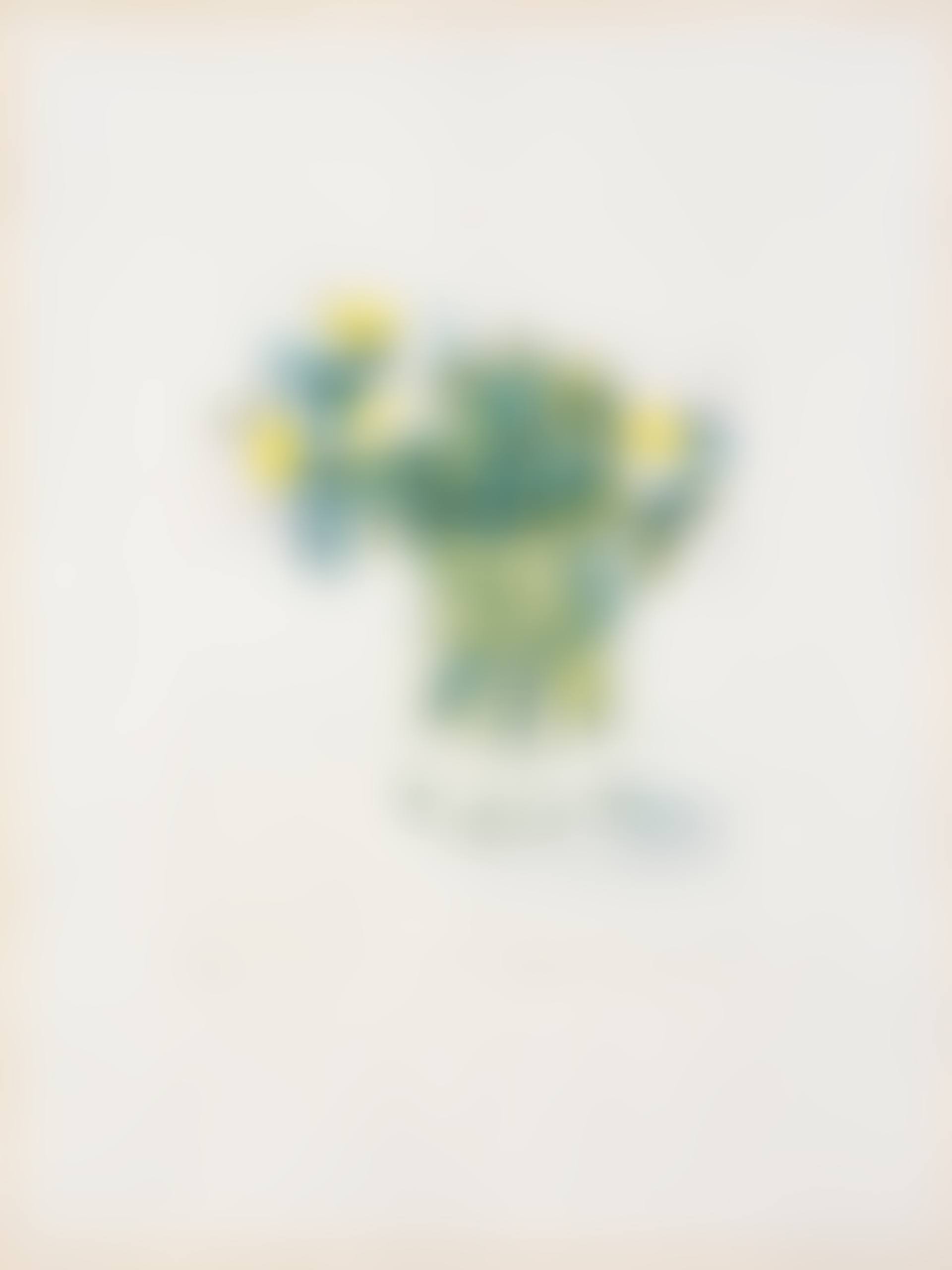 Marguerites (M.C.A. Tokyo 141) (preview)