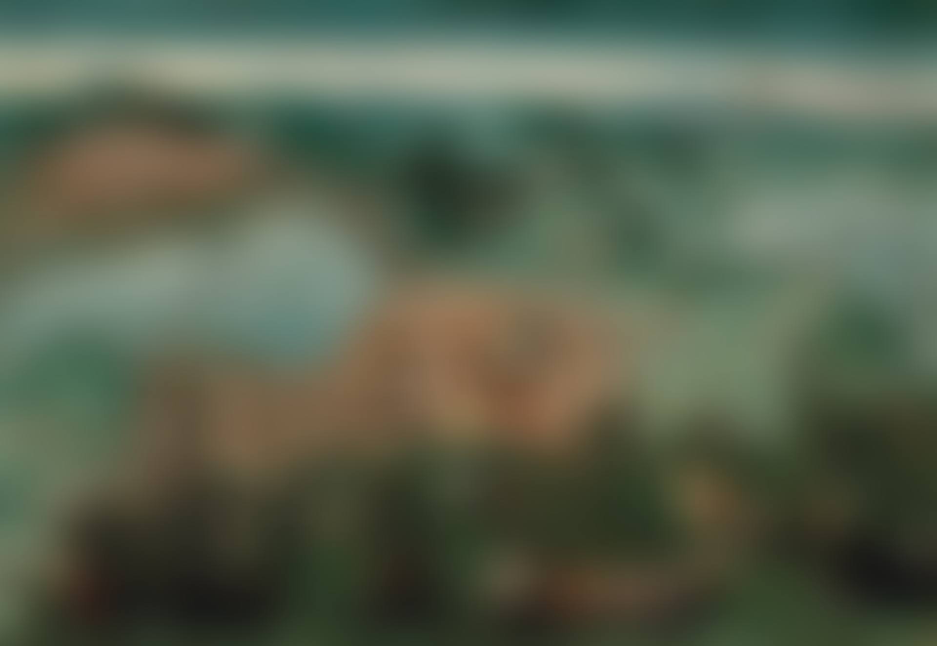 The Capture of Tunis, 1535 (preview)
