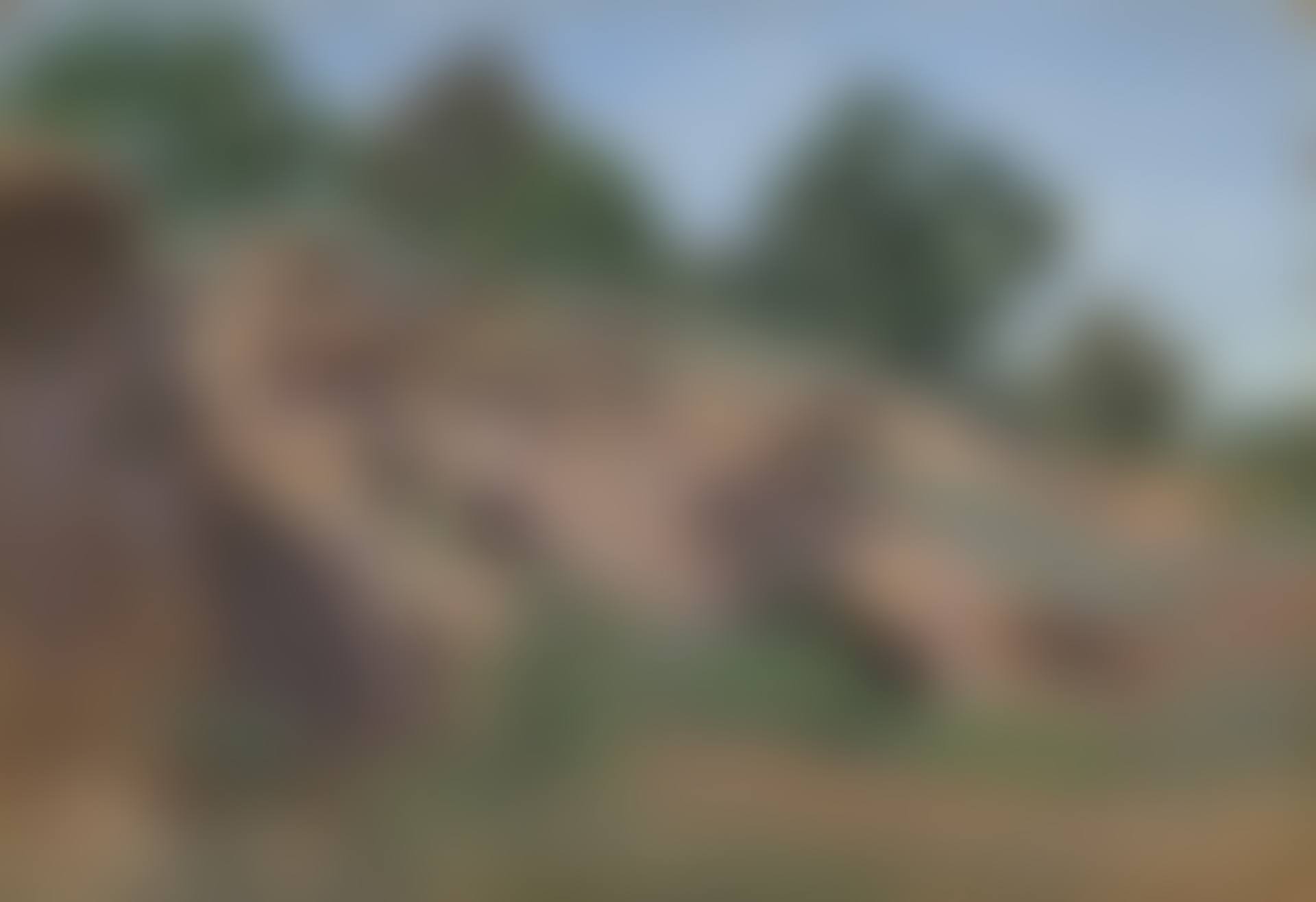 Versant rocheux (preview)