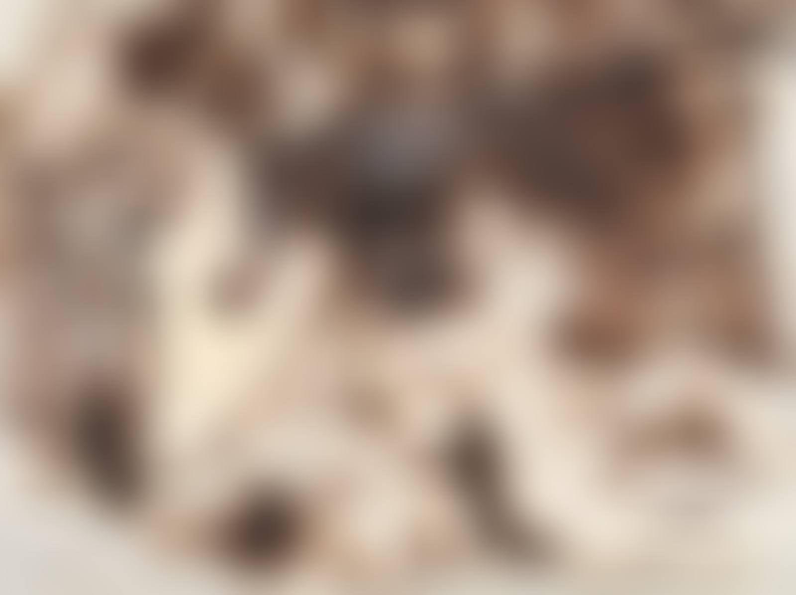 Vagrants (preview)