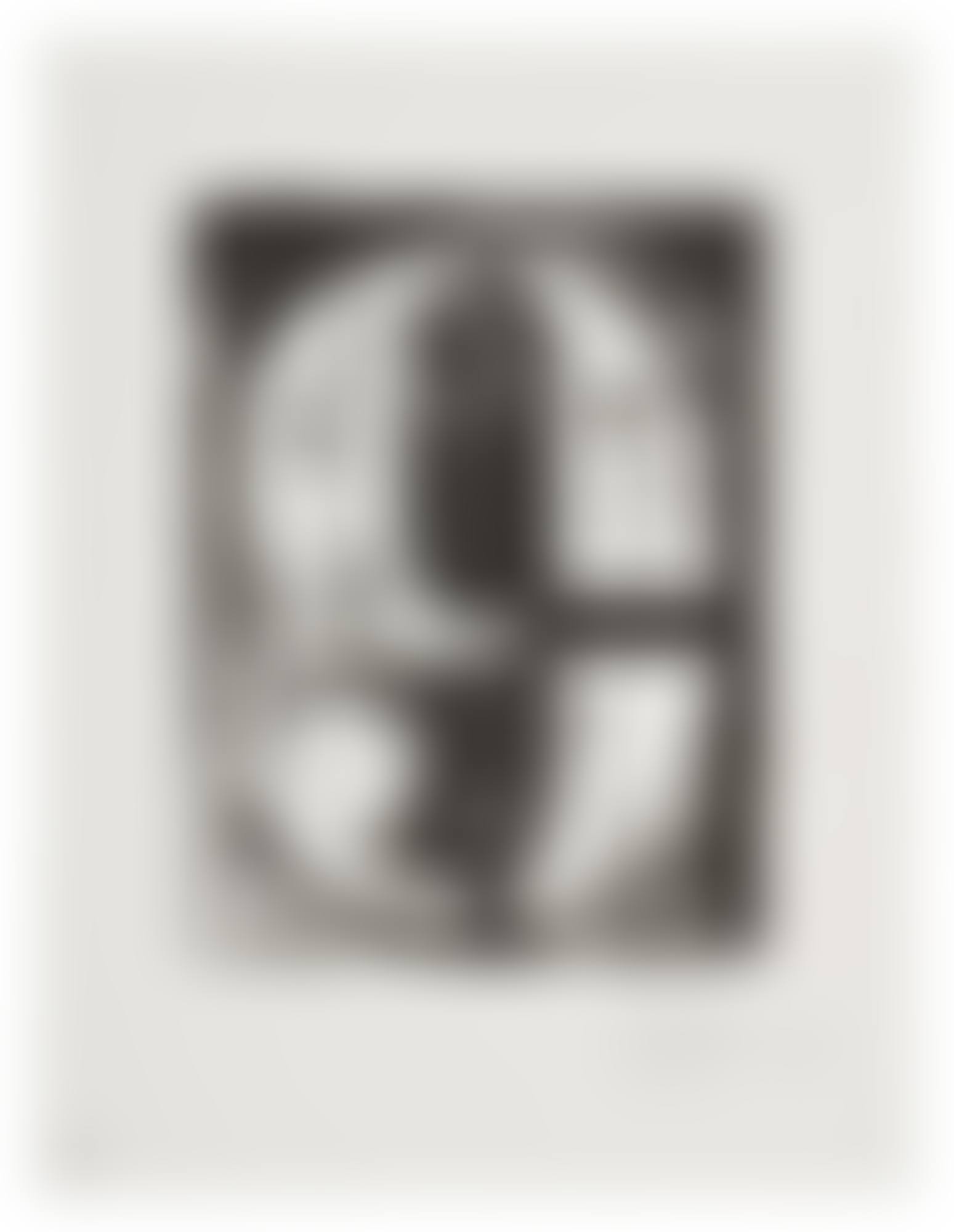 Figure 9  (preview)