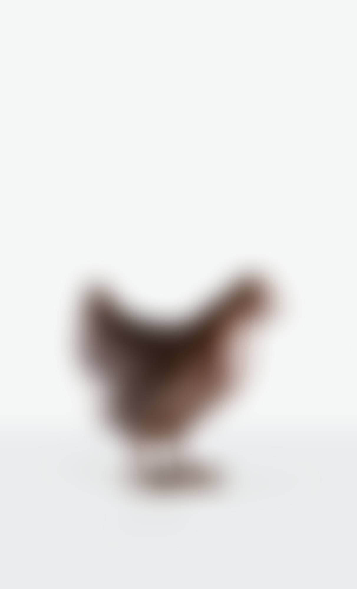 Poule de Tourette (preview)
