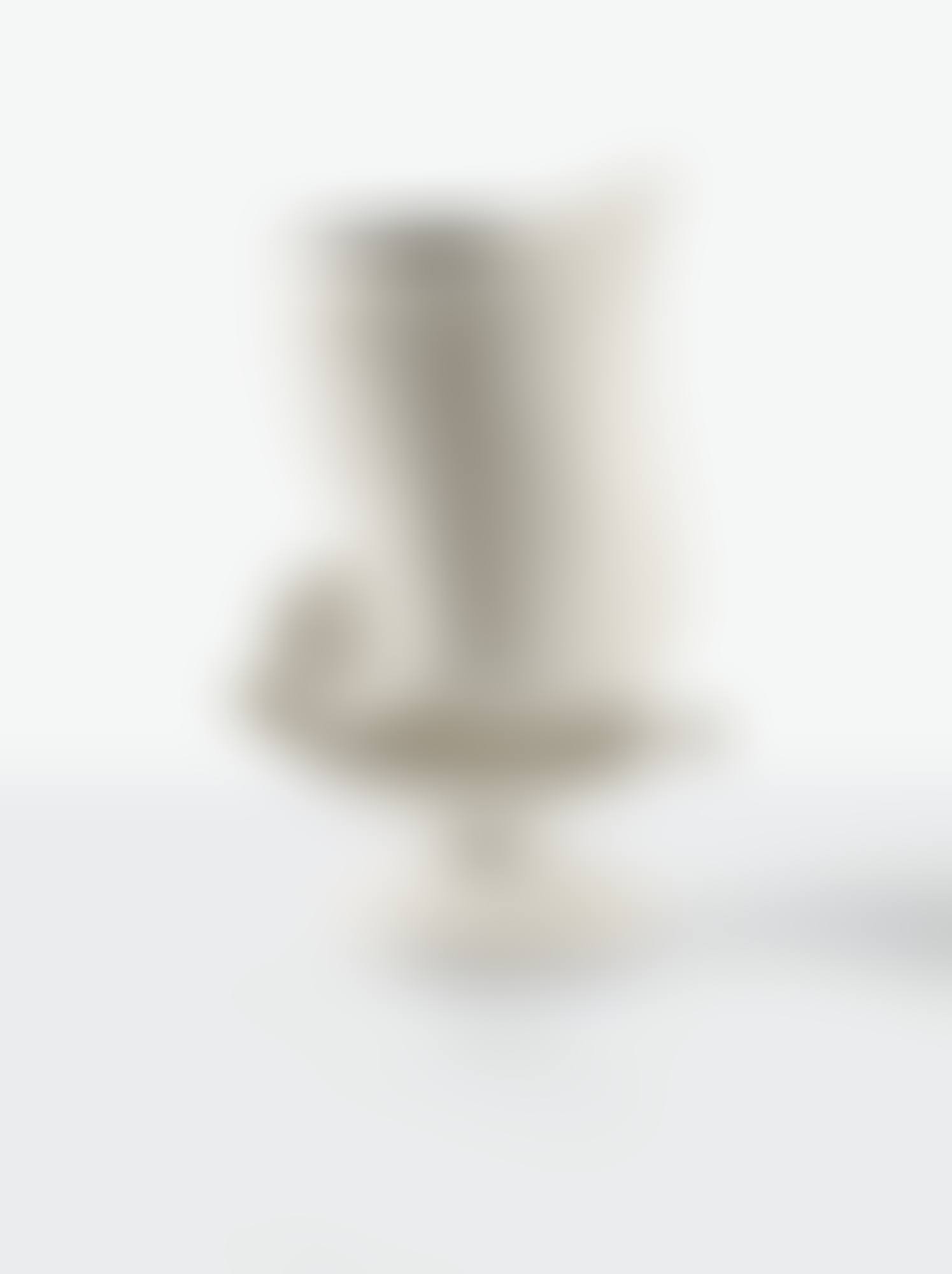 A Coquilles vase (preview)