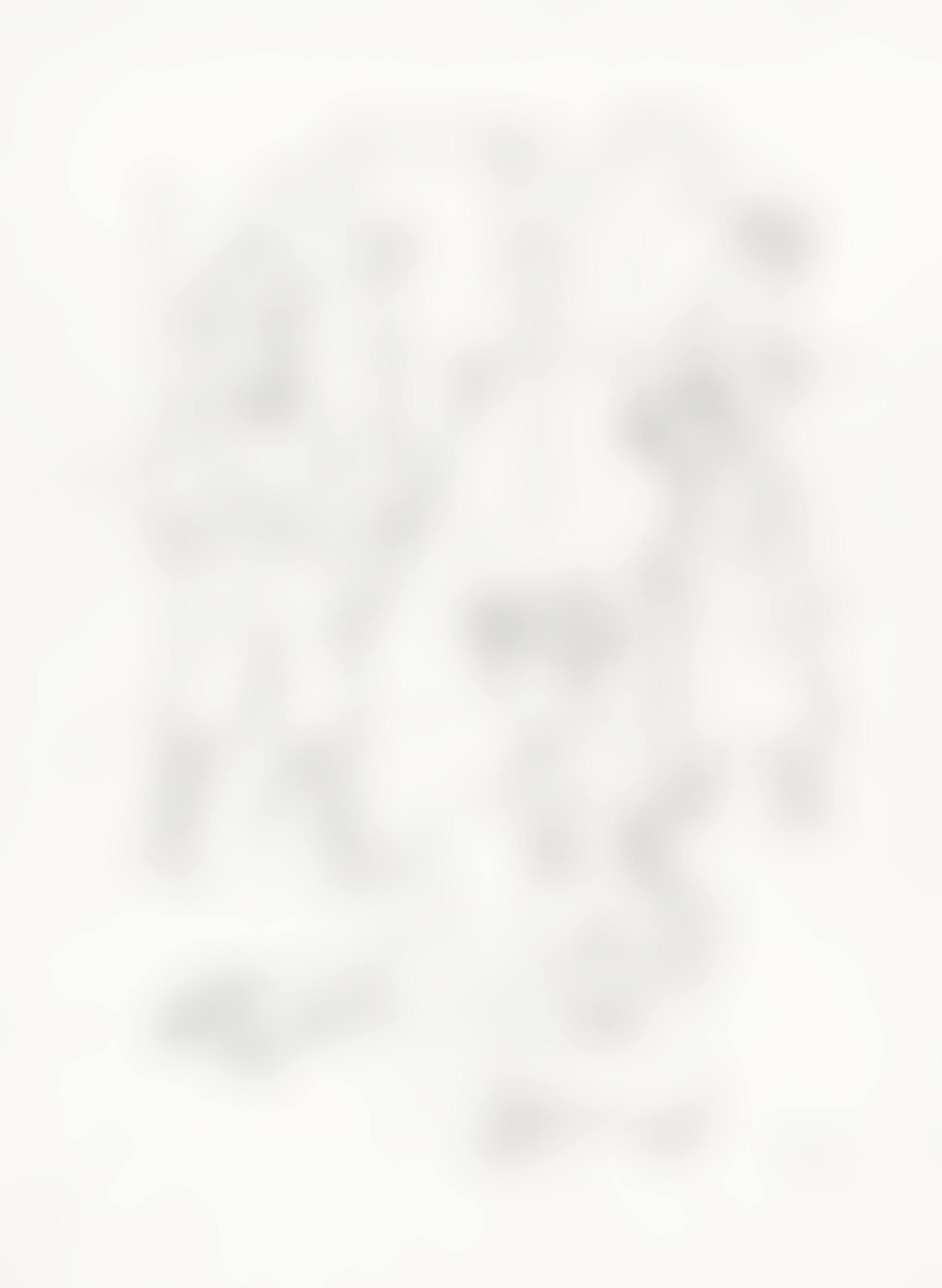 Six Plates, from 'Ecce Homo' (preview)
