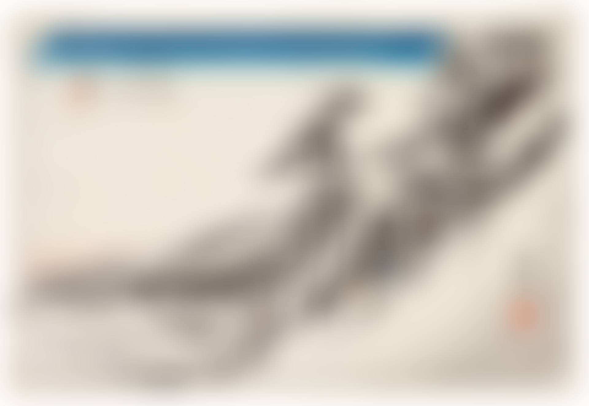 KAMEYAMA: CLEAR WEATHER AFTER SNOW (KAMEYAMA, YUKIBARE) (preview)