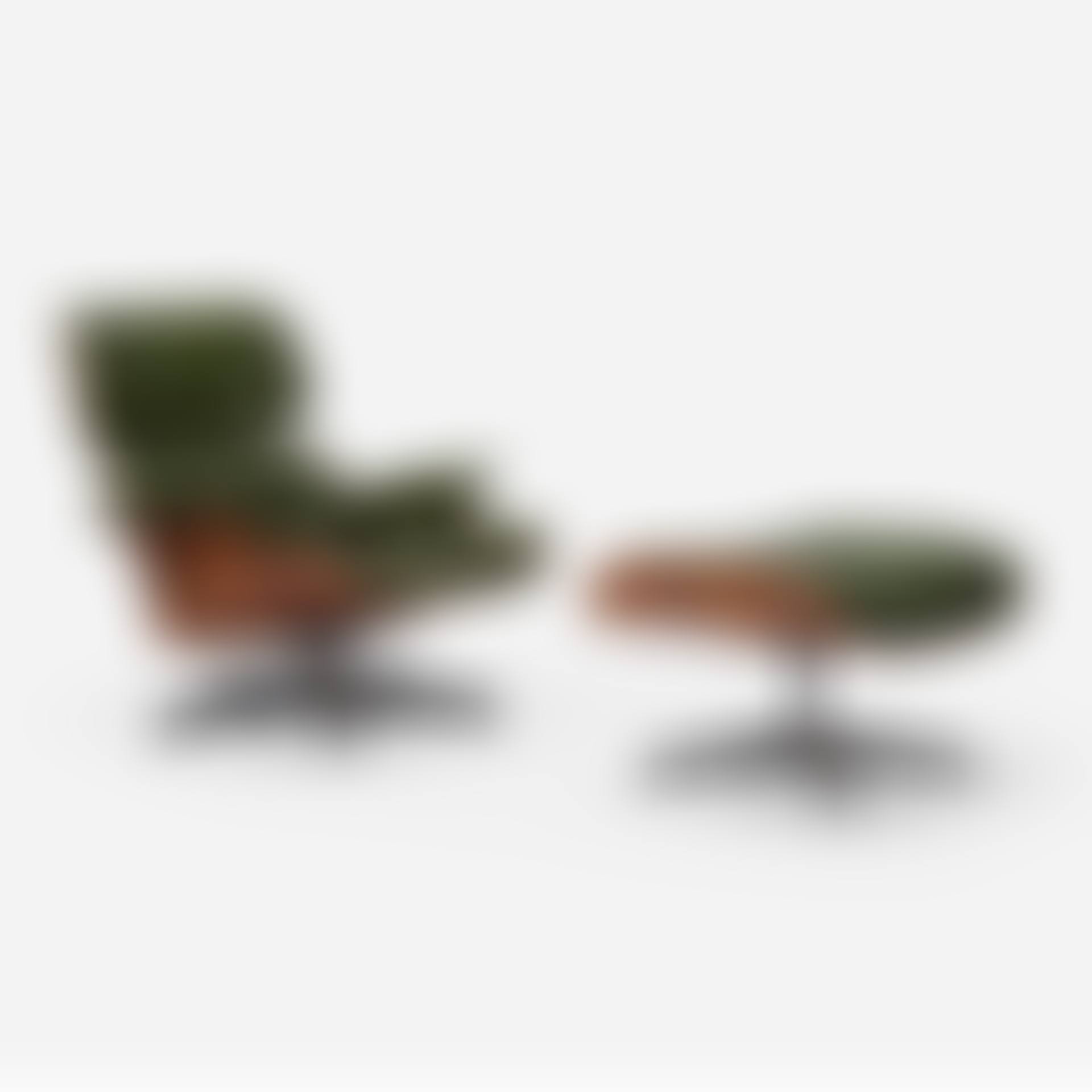 Special-order 670 lounge chair and 671 ottoman (preview)