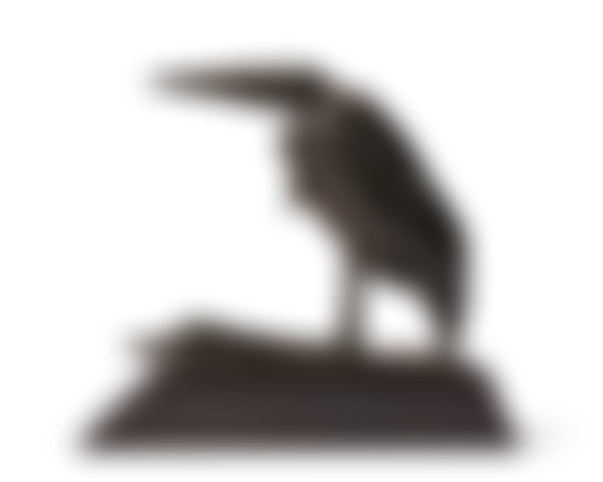 Marabout au repos (preview)