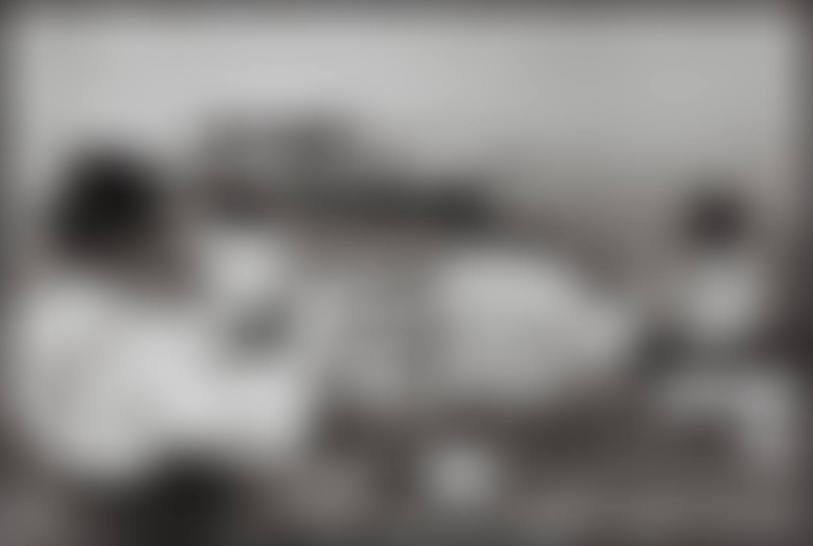Picnic on the Banks of the Marne (preview)