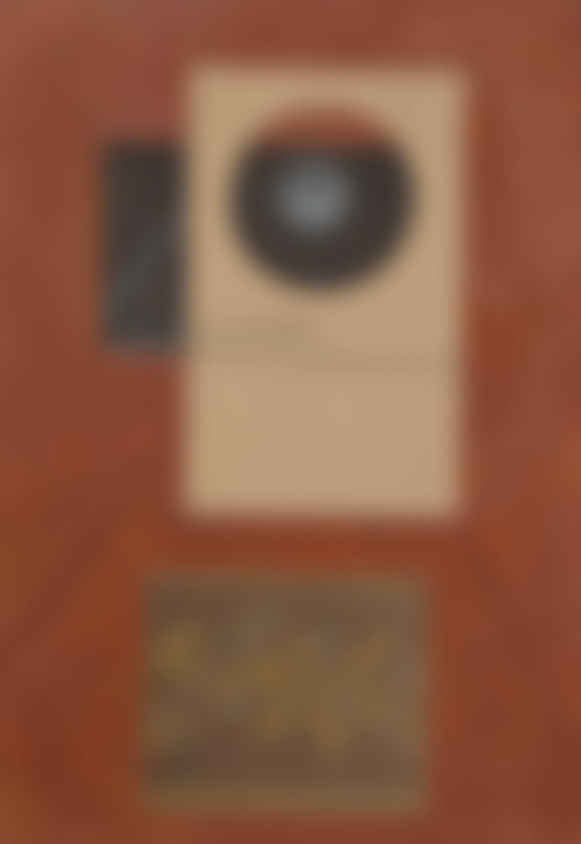 Buste d'oiseau (preview)