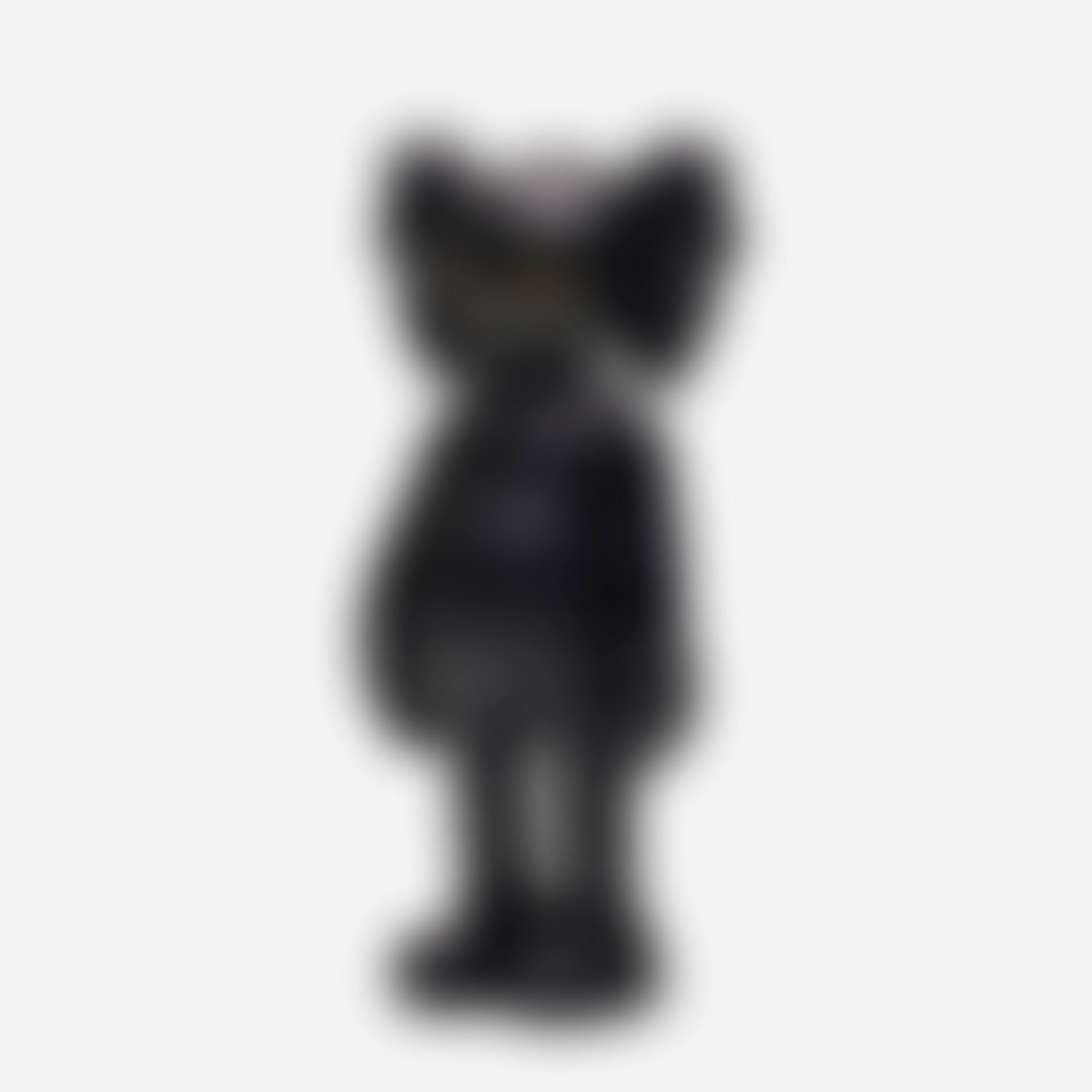 Five Years Later Companion (Black) (preview)