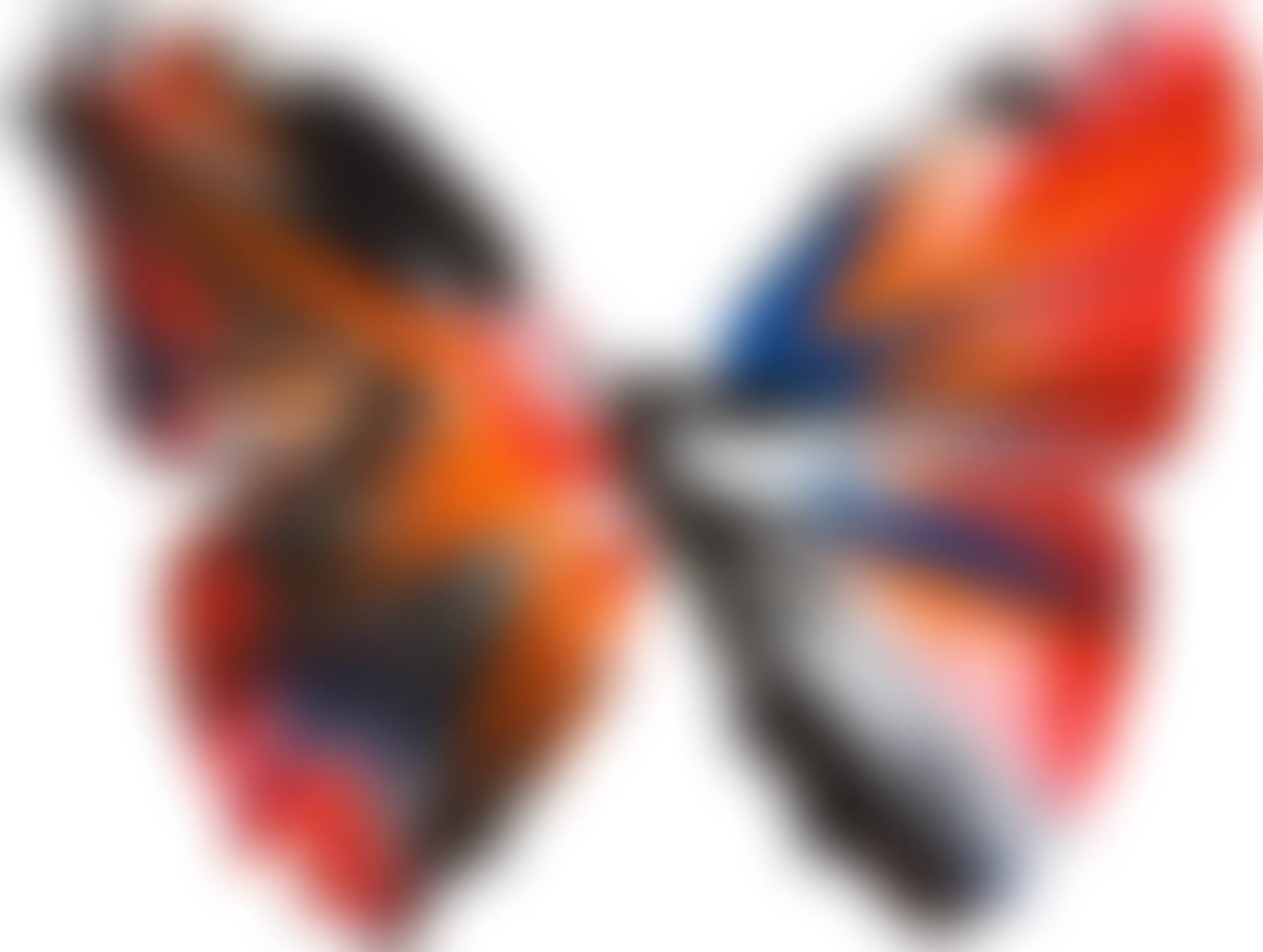 Untitled (Butterfly Spin Painting) (preview)