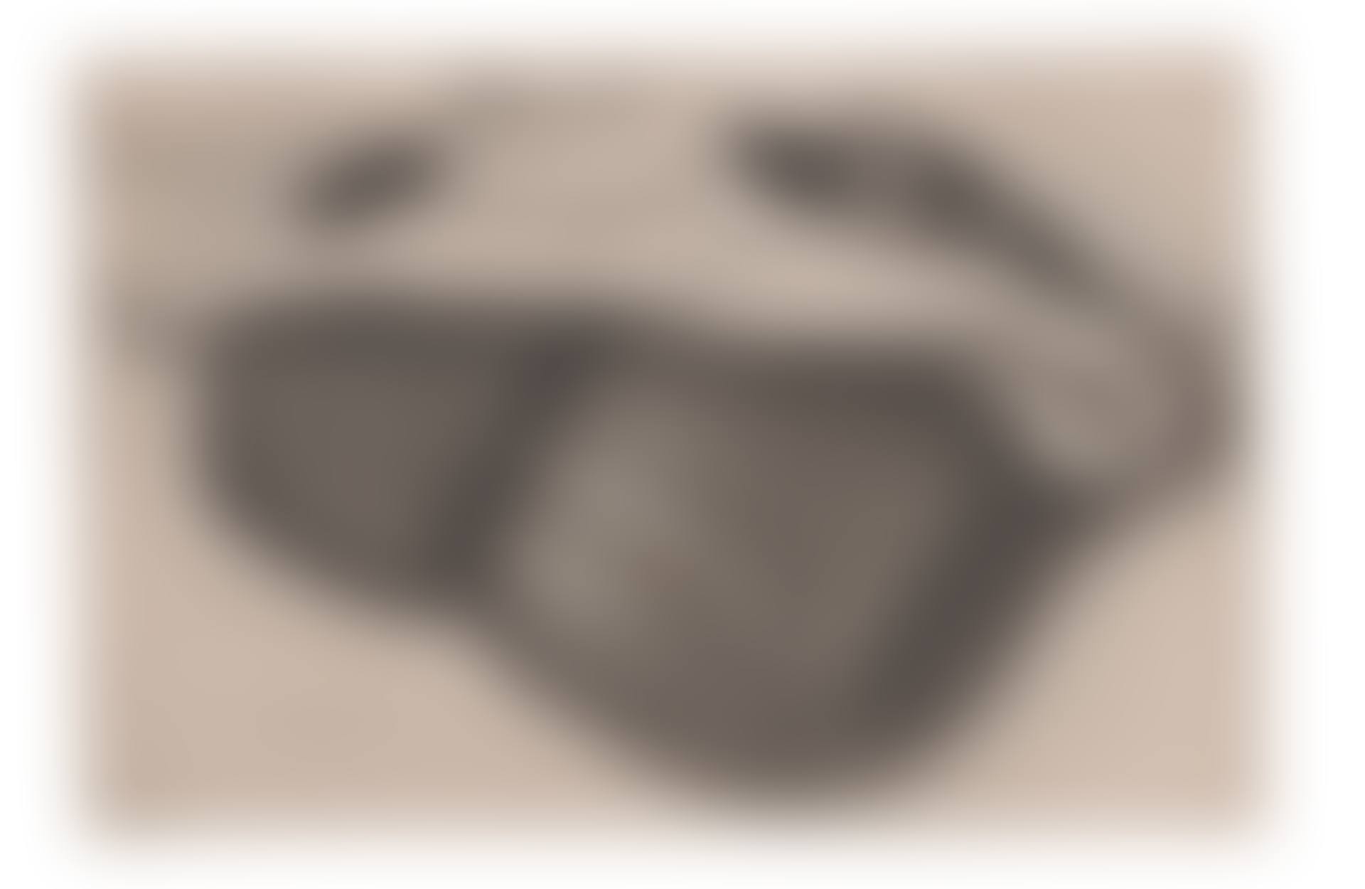 Dark Fur Double-Muff with black Half-Mask (preview)