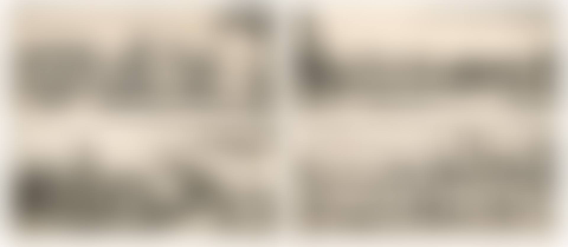 The Strasbourg Views (The Four Seasons) (preview)