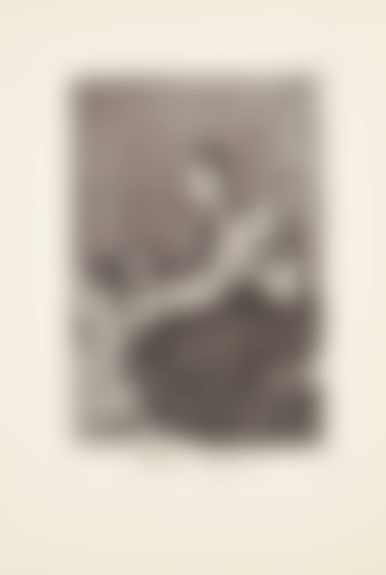 Hilan Delgado, Plate 44 from: Los Caprichos (preview)
