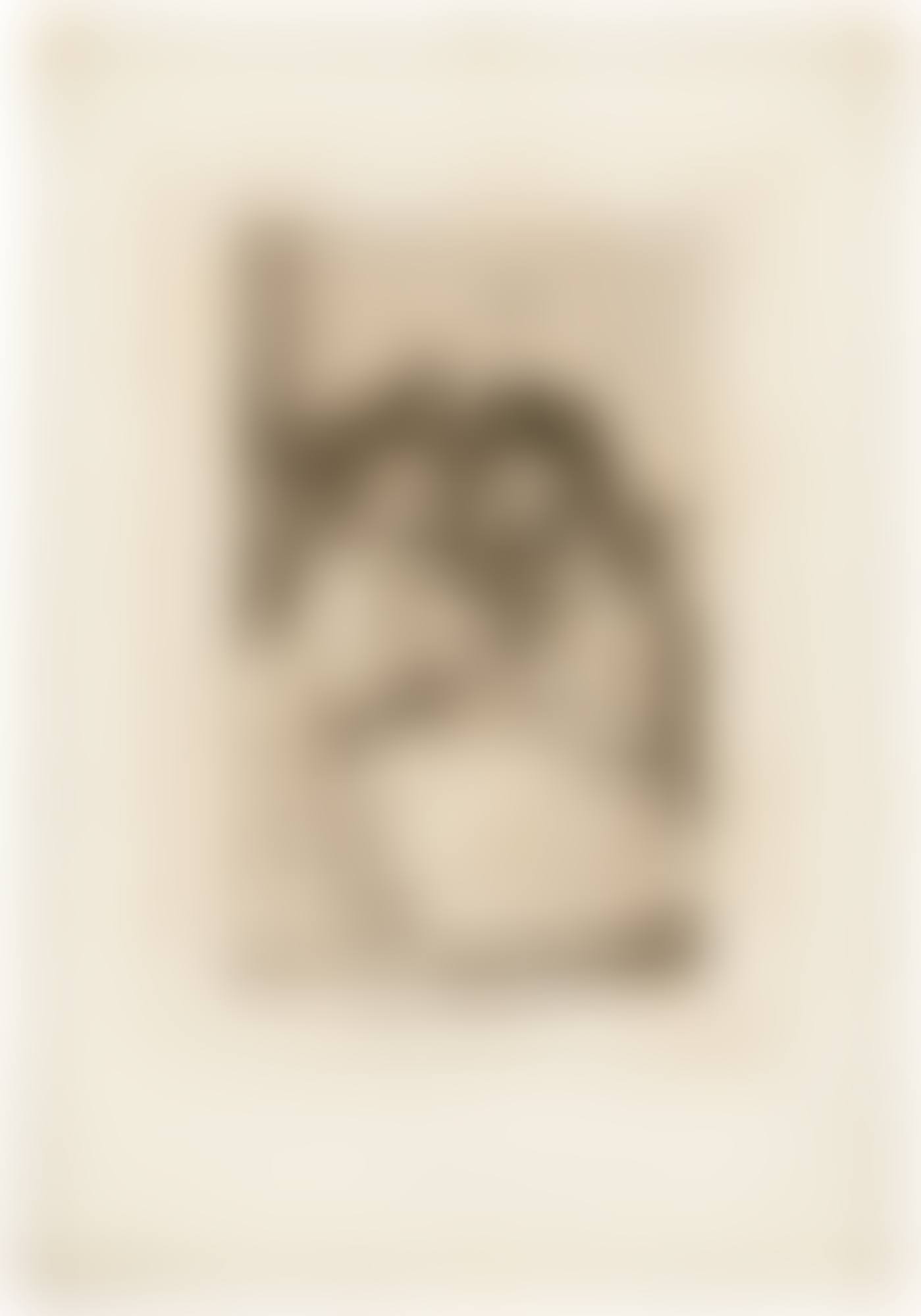 La Filiacion, Plate 57 from: Los Caprichos (preview)