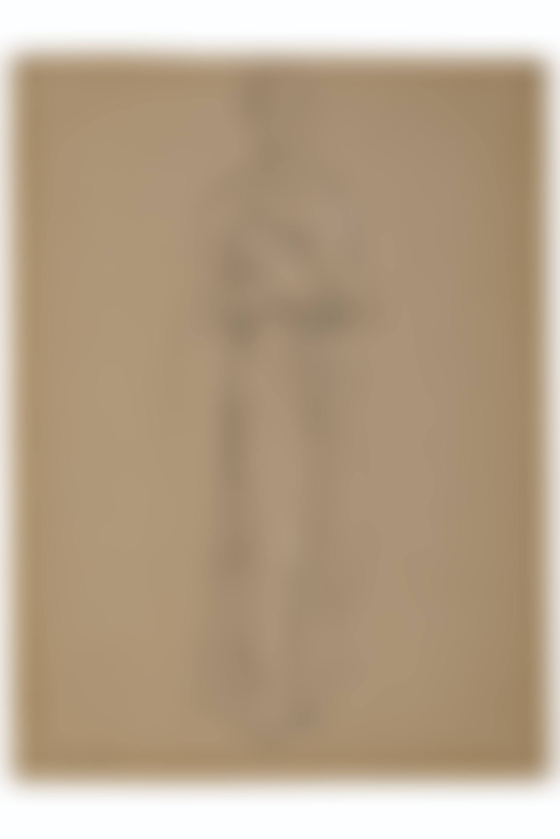 A standing woman (recto); Drapery study (verso) (preview)