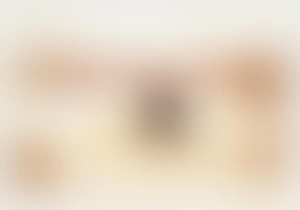 Pinto, from 100 Years Ago (preview)