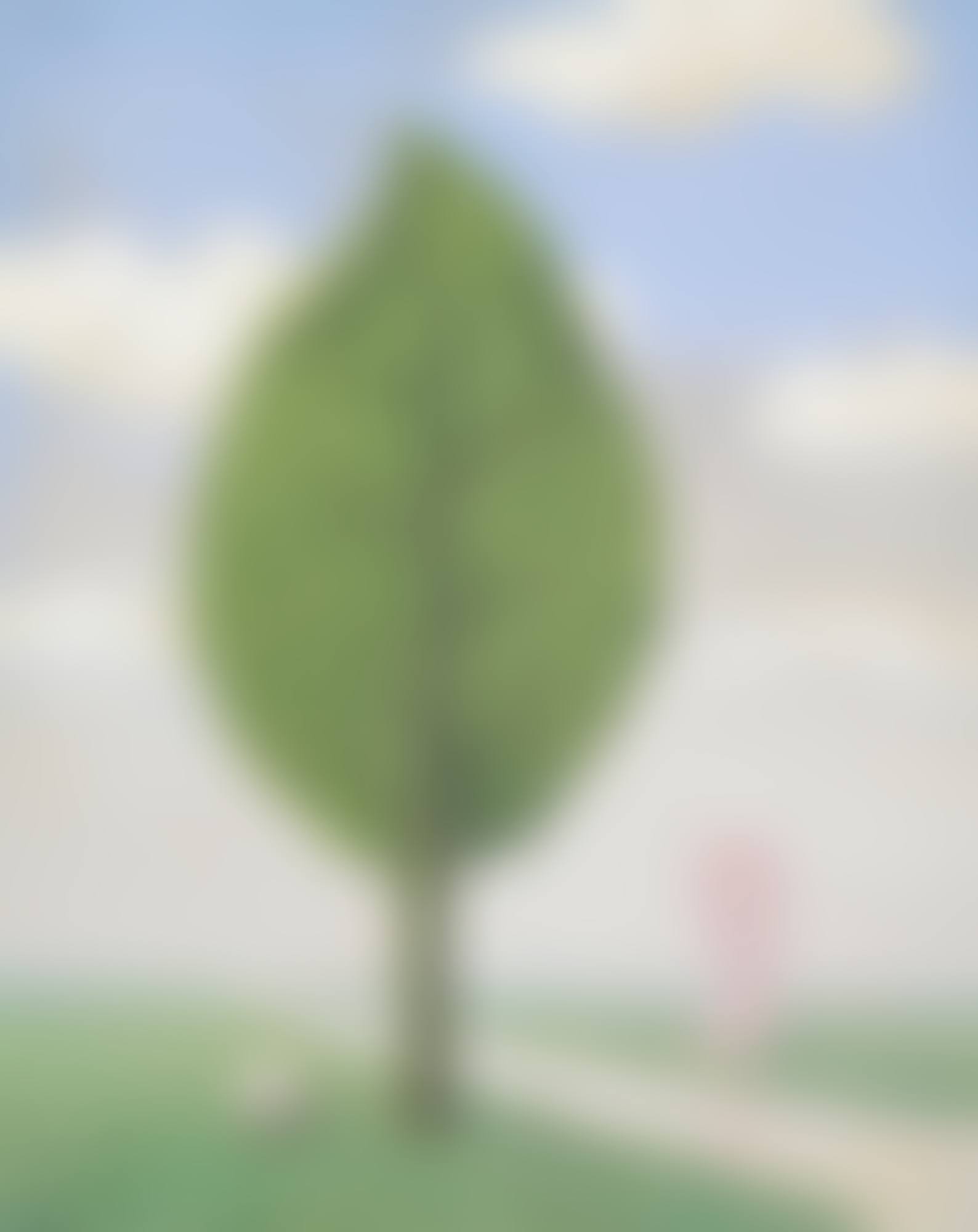 LA GÉANTE (preview)