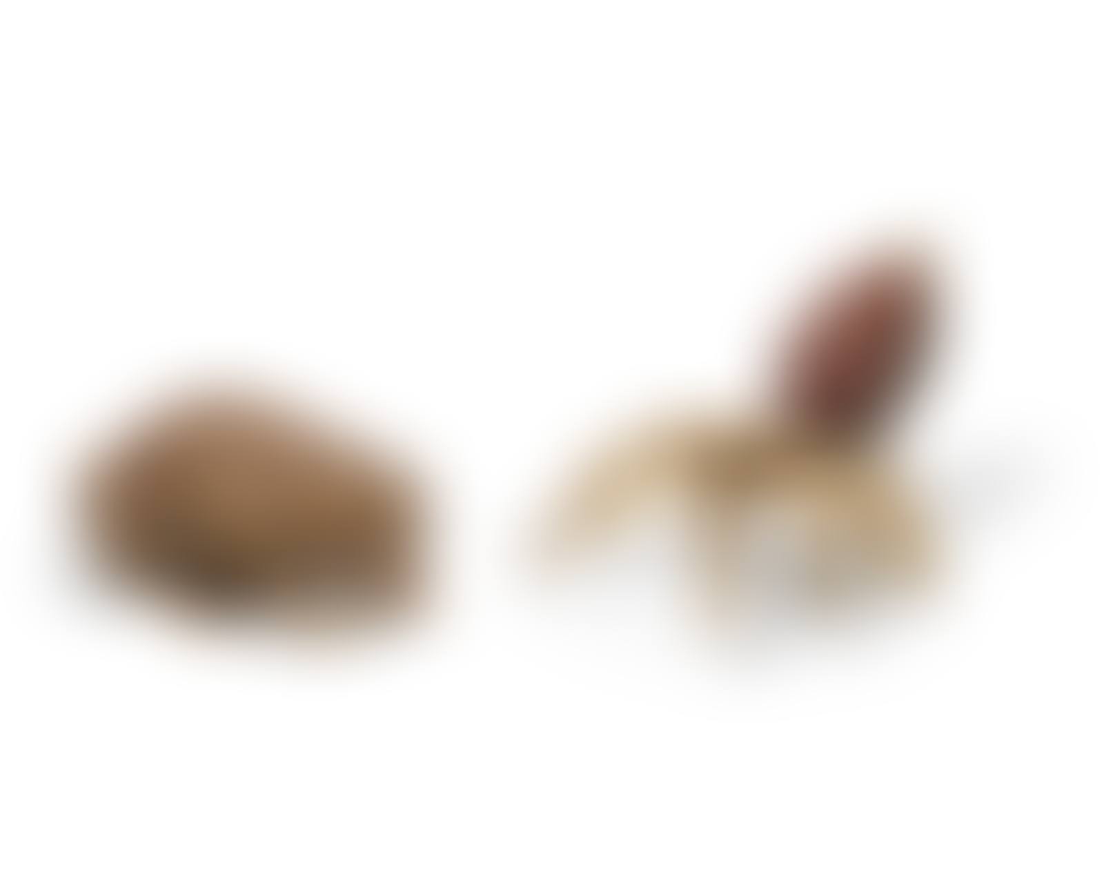 Tarantula & Bullet Frog (two works) (preview)