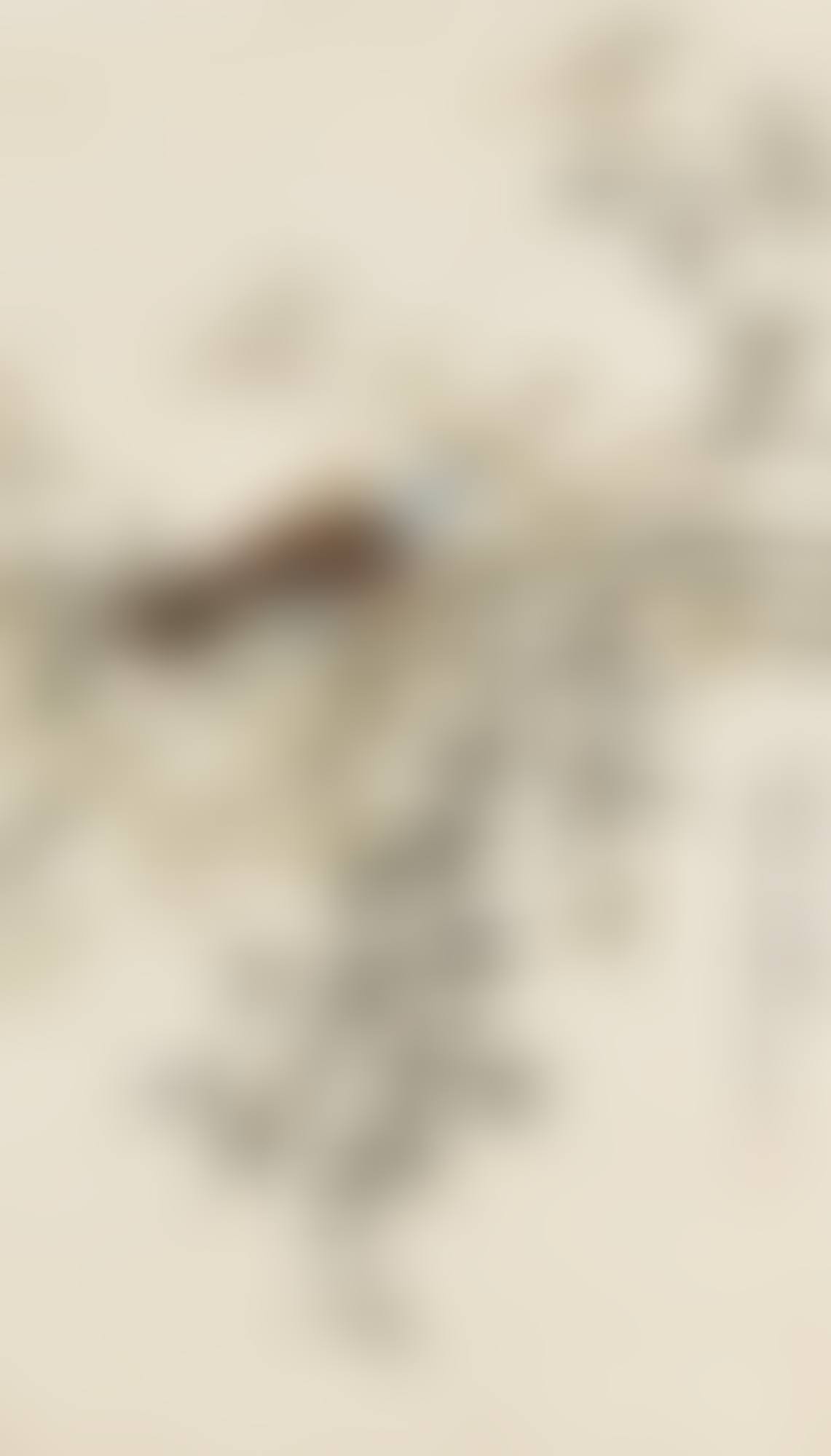 PIGEON ON BAMBOO (preview)