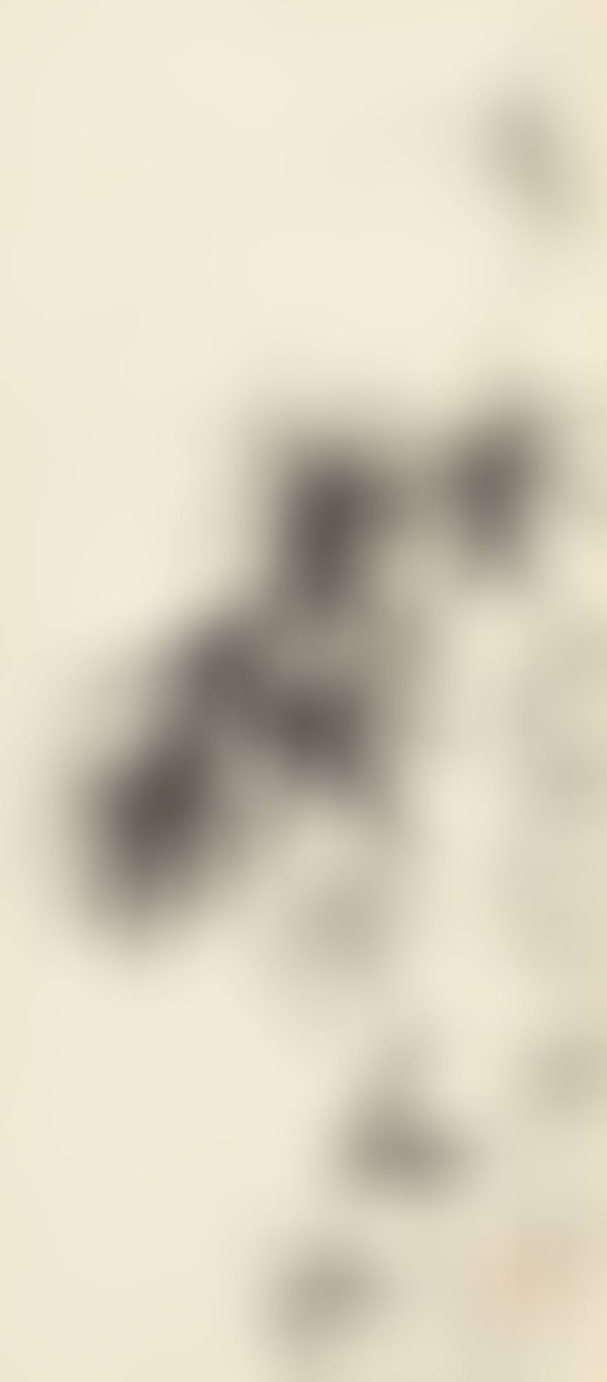 BAMBOO (preview)