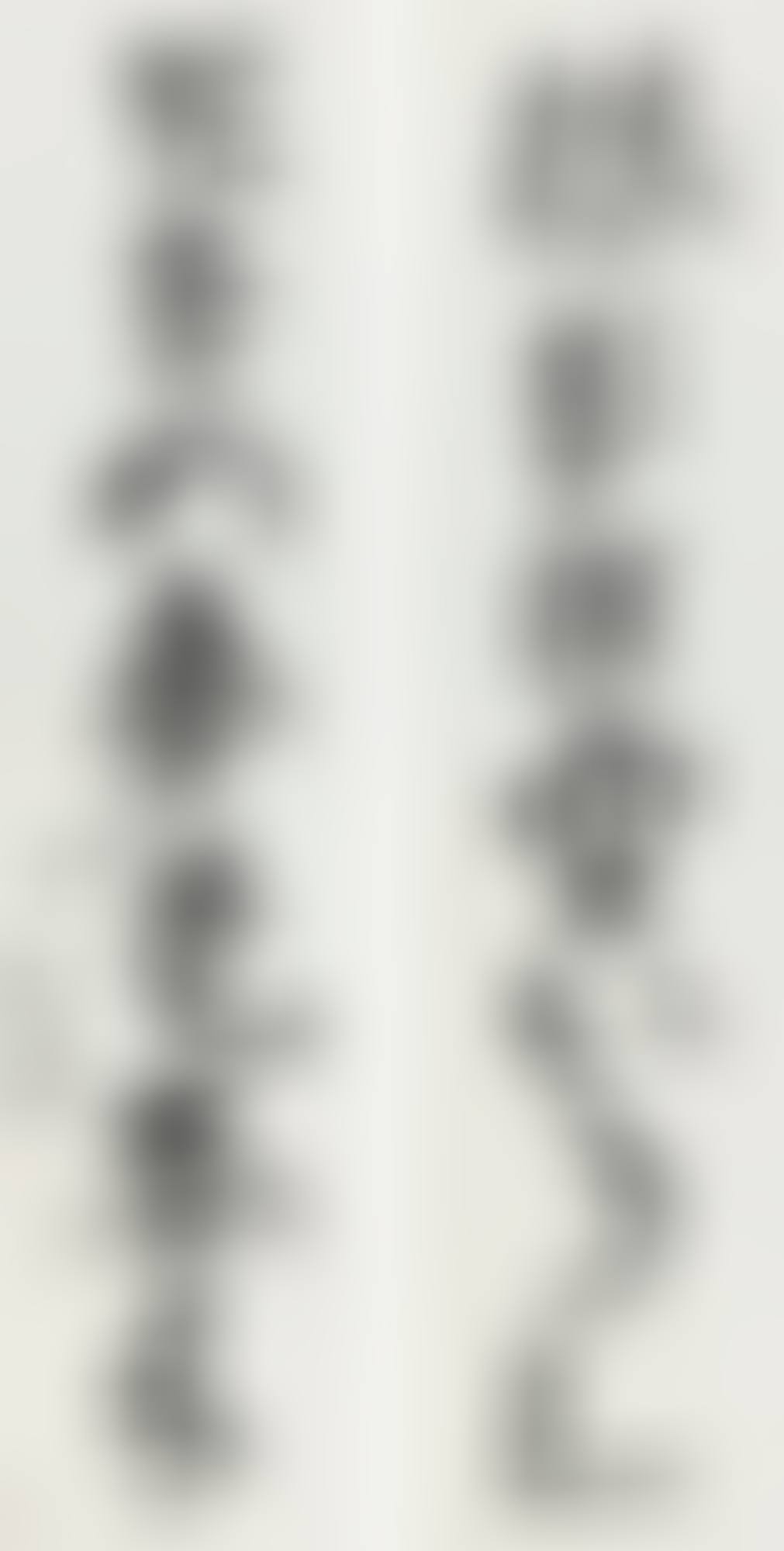 CALLIGRAPHY COUPLET IN RUNNING SCRIPT (preview)