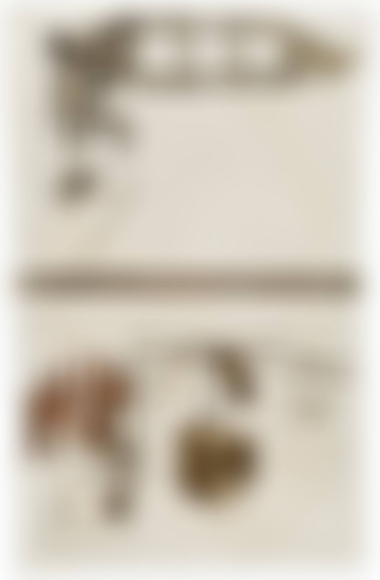Le Grand Verre (miniature) (preview)