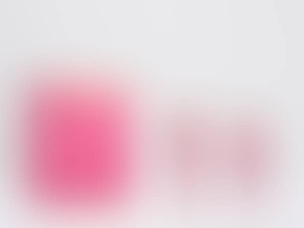 THE TWINS (PINK) (preview)