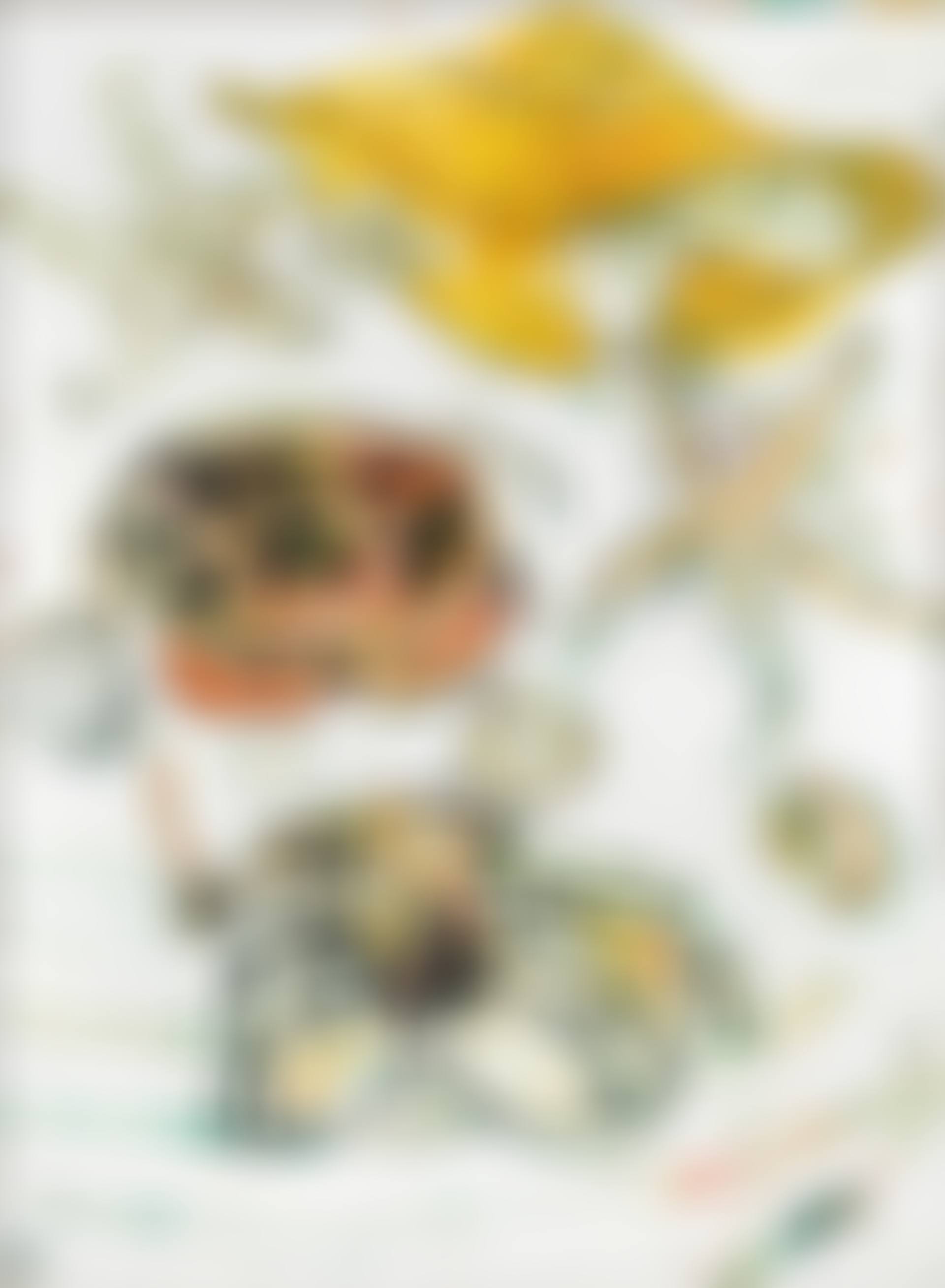Starfish, a Sou'wester, Shells and Crabs (preview)