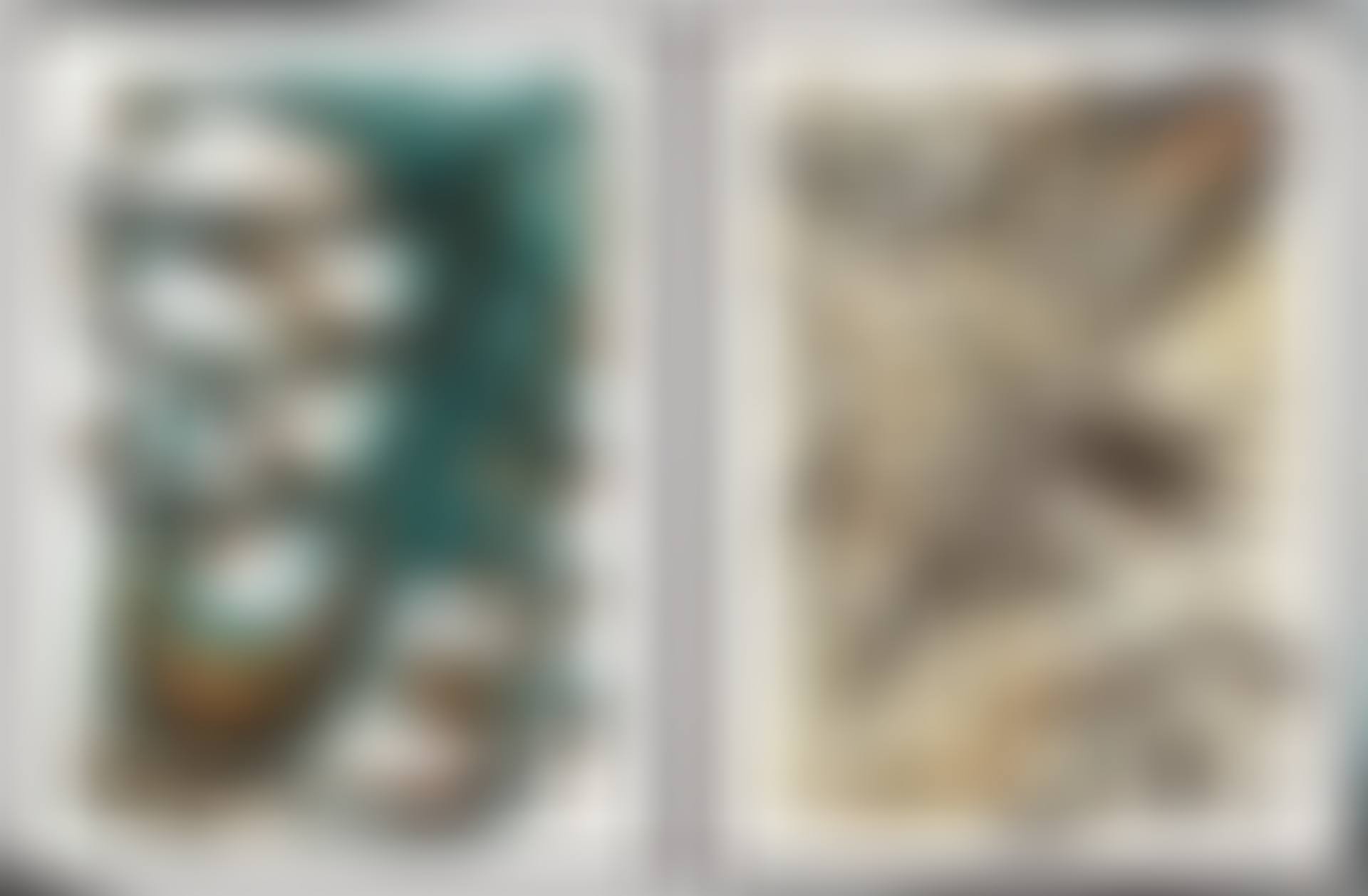 Two Works: (i) Untitled (I); (ii) Jumping Fish (VII) (preview)