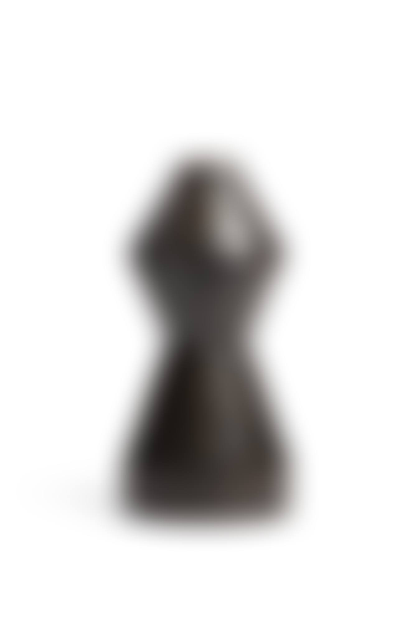 Le Torse tournant (preview)