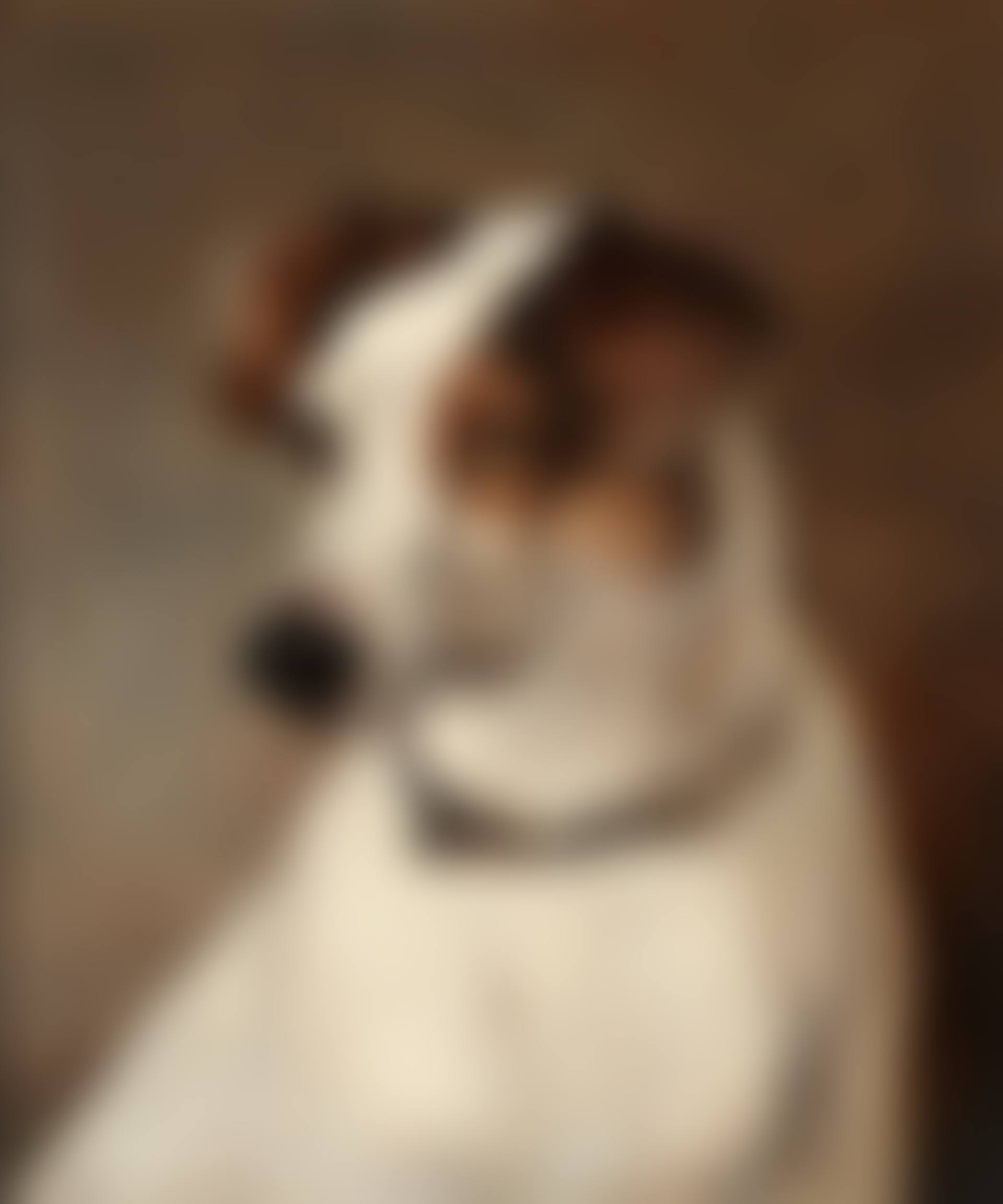 Portrait of a Jack Russell (preview)