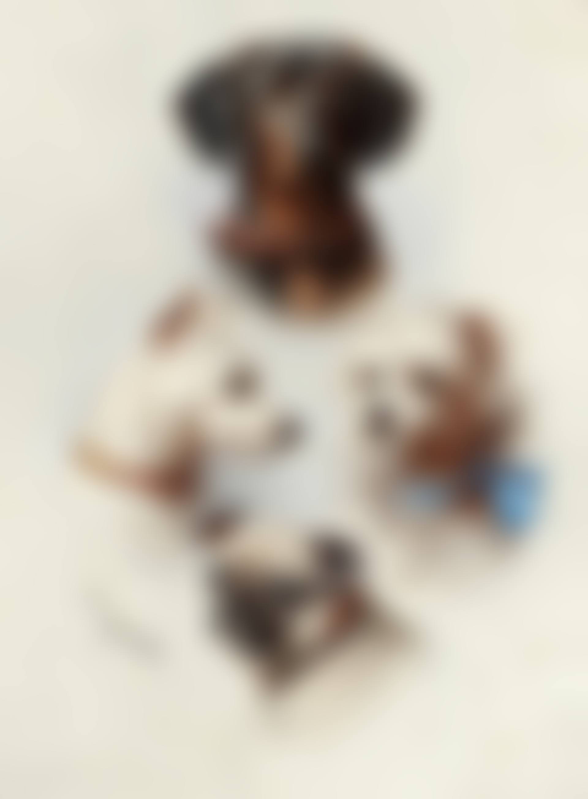 A motley crew (preview)