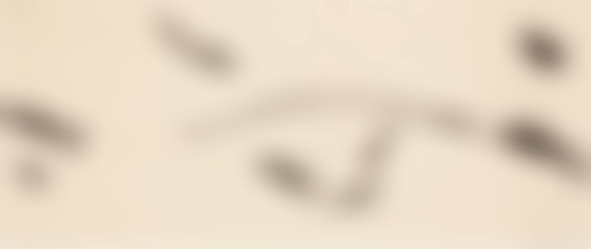 Untitled (Scroll) (preview)