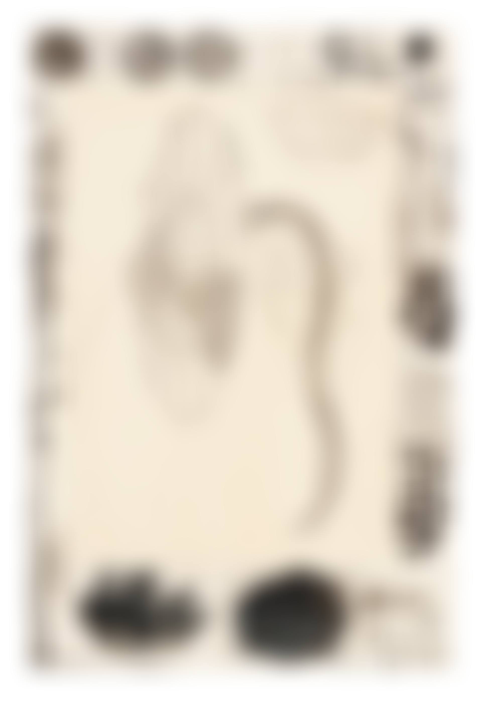 Marginalia (preview)
