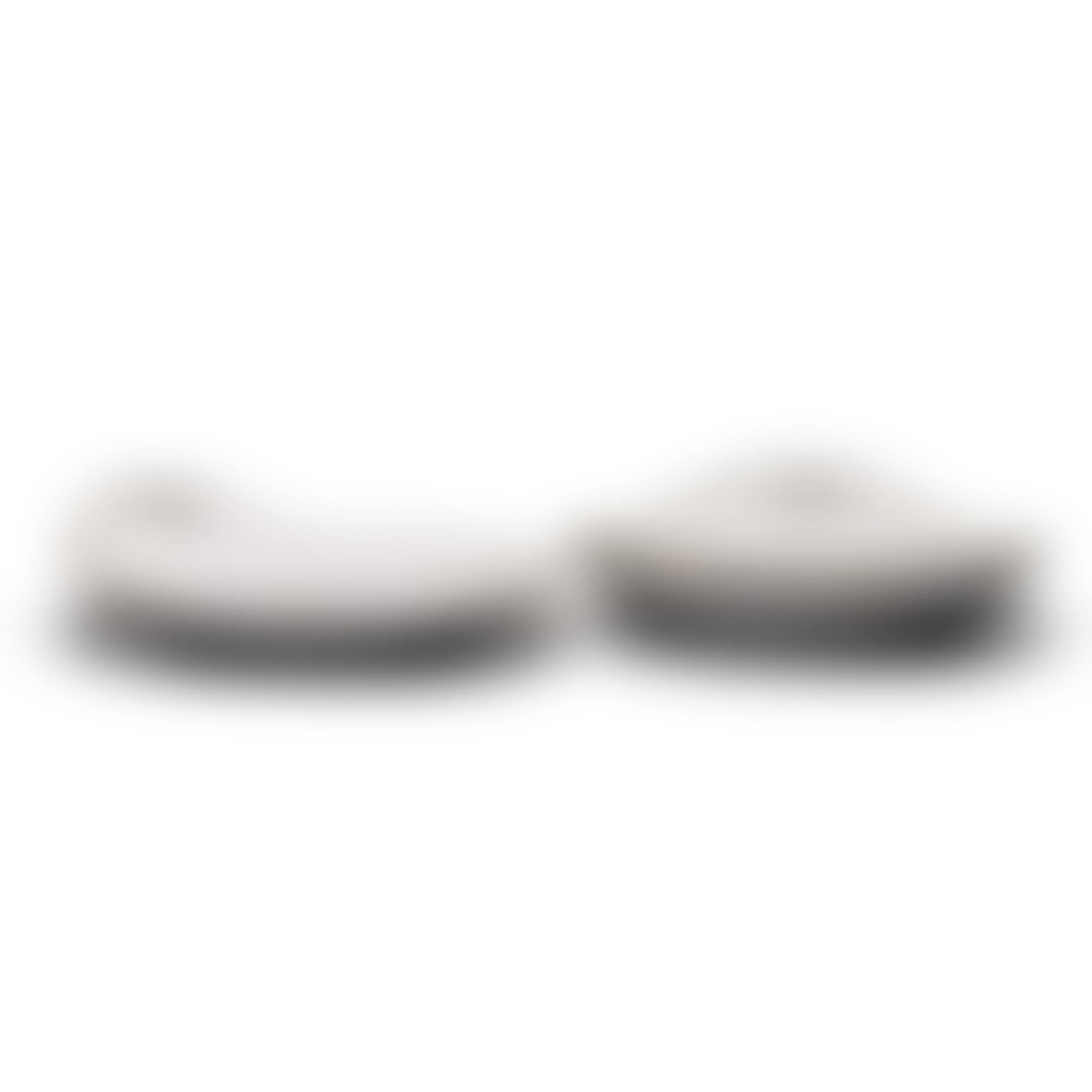 Two Large Plates with Side Handles (preview)