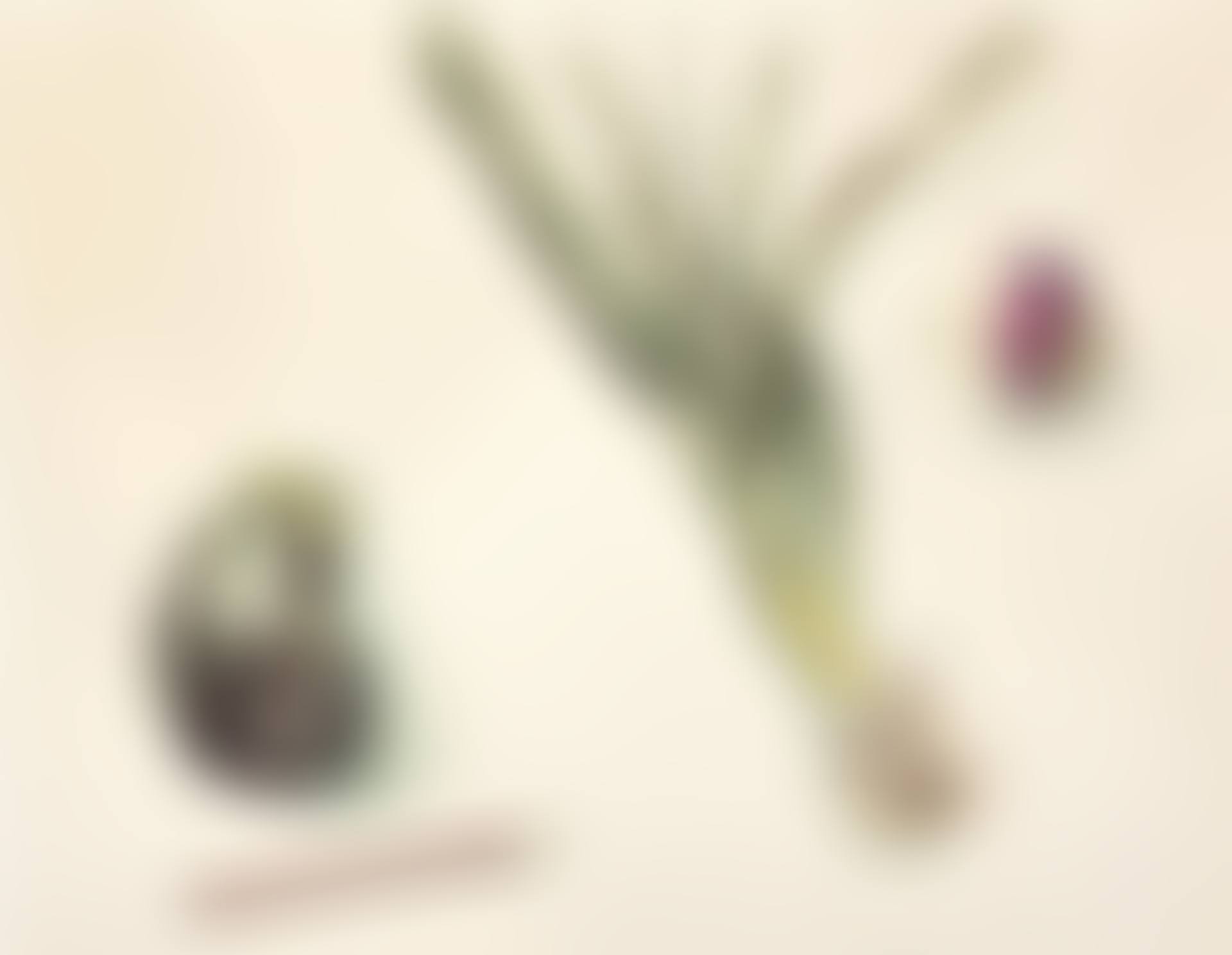 A still life of vegetables (preview)