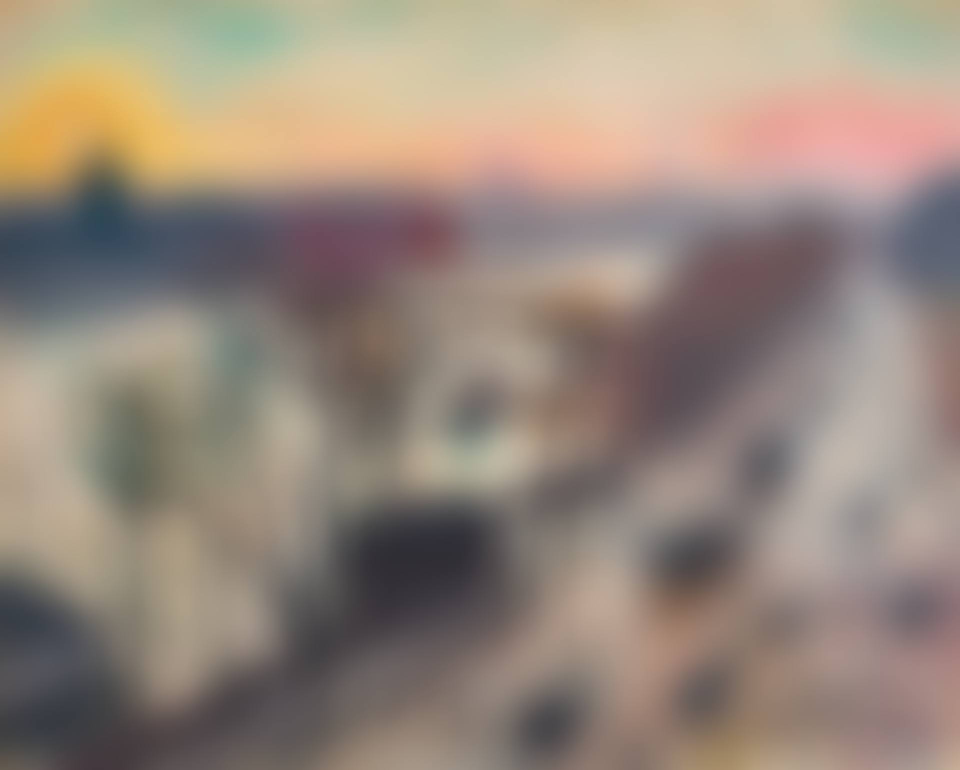 Paris, Quai du Louvre, Soleil d'hiver (preview)